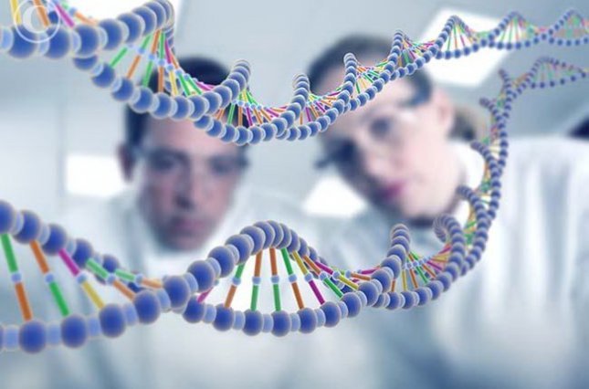 Генетики из Гарварда, МГУ и "Сколтеха" создали алгоритм для эффективного поиска "генов долголетия"