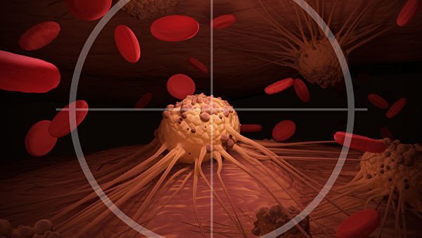 Изображение: auntspray/Фотобанк RU.123.RF