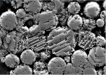 В метеорите, содержащем молекулы воды, найдены условия для образования аминокислот