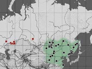 Новые находки энтомологов подтверждают значительные изменения климата на планете