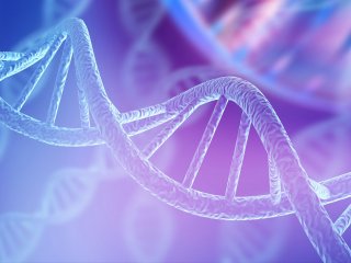 Ученые глубже поняли механизмы восстановления поврежденной ДНК