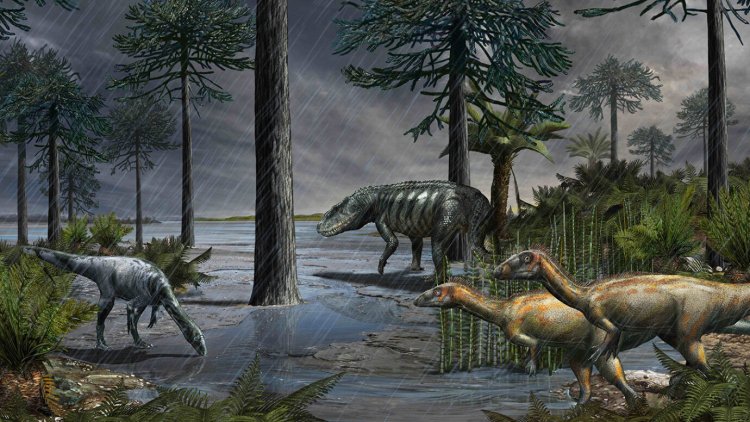 дожди сделали динозавров такими могущественными