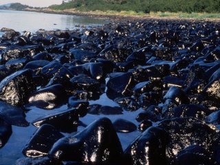 Нефтезагрязнение под Усинском в Коми/ Источник фото: Regnum.ru