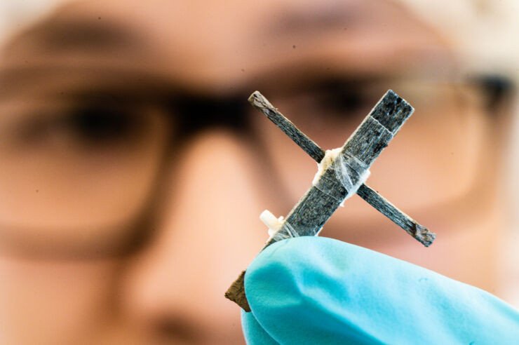 Создан первый в мире деревянный транзистор