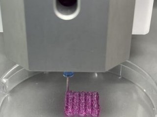 Разработан новый метод иммунотерапии рака, использующий 3D-биопечать