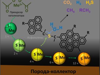 Механизм формирования активной формы катализатора в пласте. Источник - Фирдавс Алиев