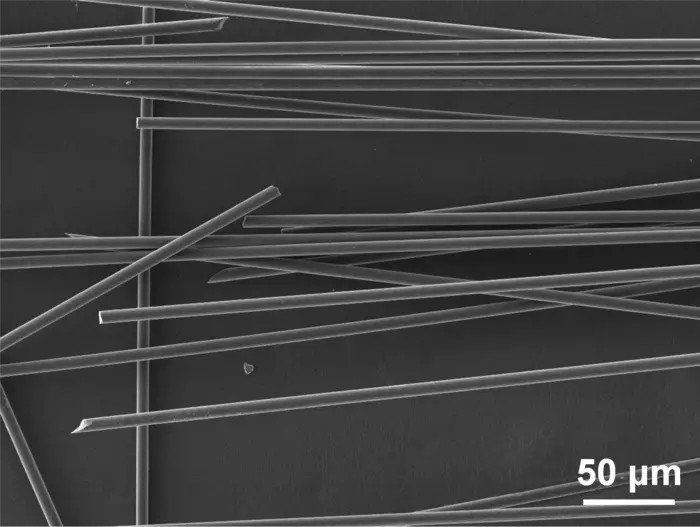 На этом снимке, сделанном с помощью сканирующего электронного микроскопа, видно качество углеродных волокон, полученных в результате процесса разложения. Фото: ©2025 Jin et al. CC-BY-ND