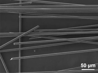 На этом снимке, сделанном с помощью сканирующего электронного микроскопа, видно качество углеродных волокон, полученных в результате процесса разложения. Фото: ©2025 Jin et al. CC-BY-ND