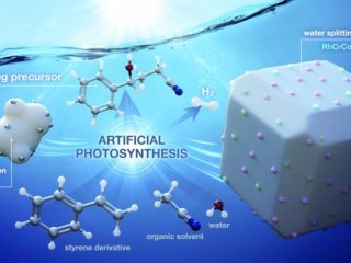 Катализаторы разложения были преобразованы в двойные катализаторы для искусственного фотосинтеза. Фото: Issey Takahashi (WPI-ITbM, Nagoya University)