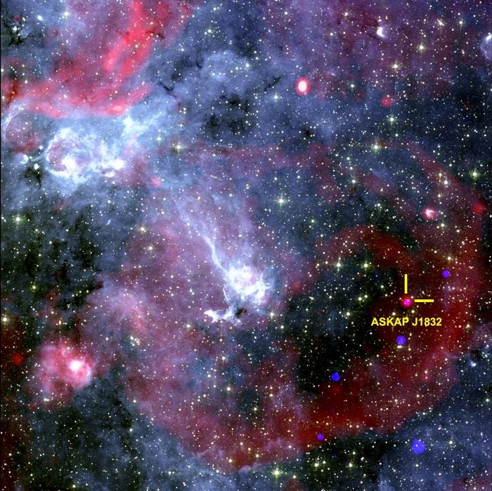 Изображение неба, показывающее область вокруг ASKAP J1832-0911. Рентгеновские снимки от обсерватории НАСА «Чандра», радиоданные от южноафриканского радиотелескопа MeerKAT. Фото: Ziteng (Andy) Wang, ICRAR