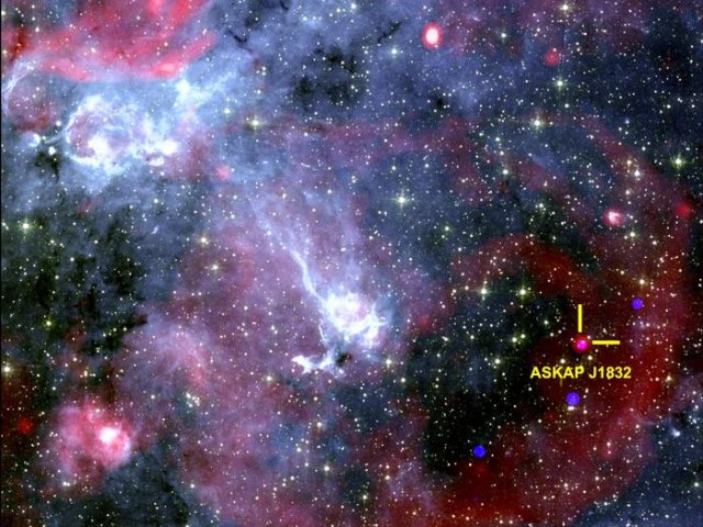 Изображение неба, показывающее область вокруг ASKAP J1832-0911. Рентгеновские снимки от обсерватории НАСА «Чандра», радиоданные от южноафриканского радиотелескопа MeerKAT. Фото: Ziteng (Andy) Wang, ICRAR