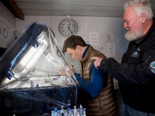 Выявлять канцерогены в водных экосистемах с помощью светящихся бактерий предложили в МФТИ. Фото: Александр Лехнович / предоставлено пресс-службой МФТИ