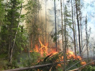 Источник фото: Евгений Пономарев