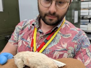 Доктор Чарльз Фейгин и редкий сумчатый крот. Фото: Dr Charles Feigin / La Trobe University