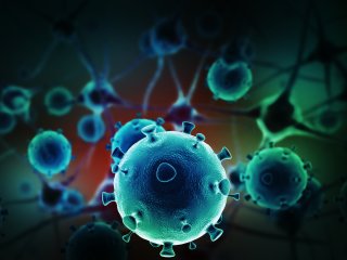 Блокирование ключевого белка запускает самоуничтожение раковых клеток. Фото: ru.123rf.com