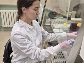 Новый метод оценки эффективности онкотерапии разработали ученые из ИМКБ СО РАН и НГУ. Фото: Сергей Кулемзин, Татьяна Беловежец / НГУ 