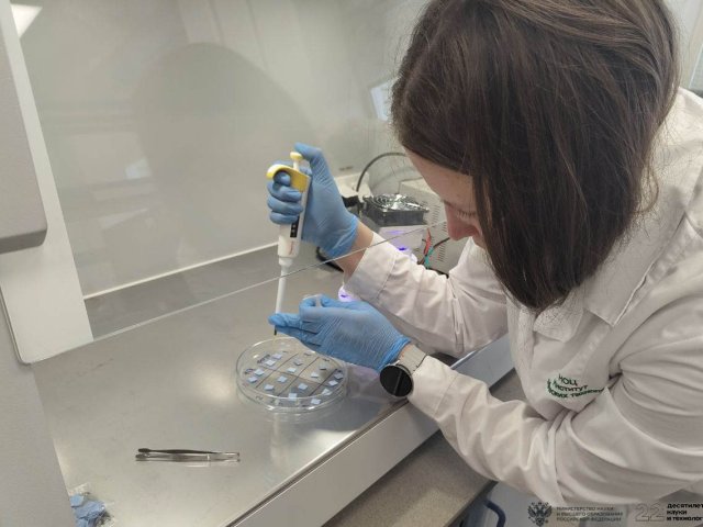 Тестирование ткани с нанесенным составом. Автор фото Кирилл Сергеевич