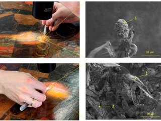 Источник: ФИЦ Биотехнологии РАН