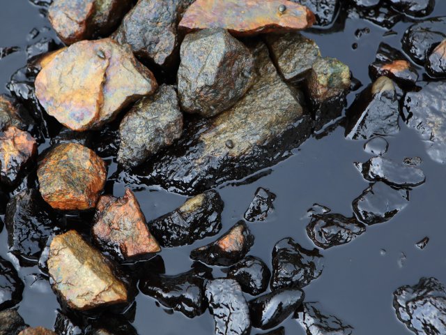 Источник фото: ru.123rf.com