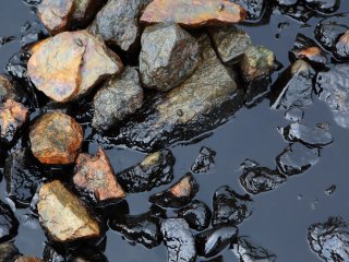 Источник фото: ru.123rf.com