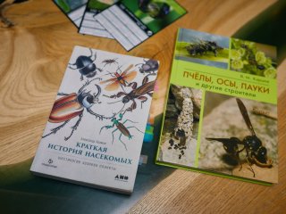 Фото: Елена Либрик / «Научная Россия»