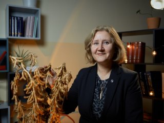 От сои до пшеницы: достижения отечественной селекции. Лекция профессора РАН Екатерины Журавлевой. Фото: Елена Либрик / «Научная Россия» / архив