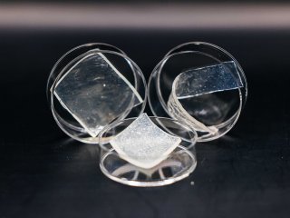 Эвтектогель. Источник фото: пресс-служба Томского политехнического университета