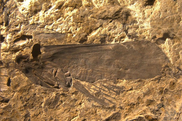 Фото предоставлено Владимиром Ивановым