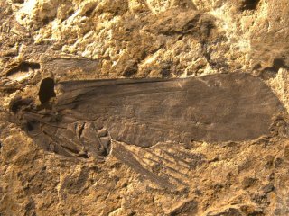 Фото предоставлено Владимиром Ивановым