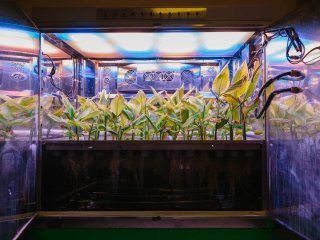 Фото Ольги Мерзляковой