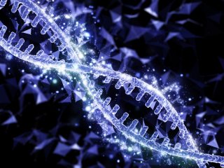 Изображение: Фотобанк Freepik