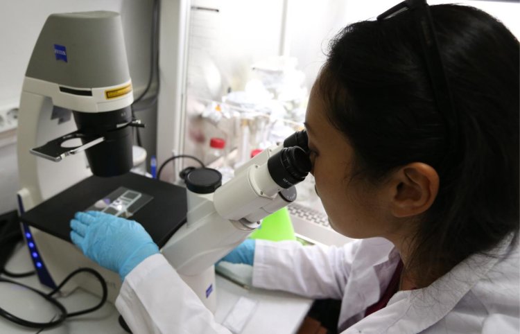 Фото: © Артем Коротаев/ ТАСС