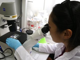 Фото: © Артем Коротаев/ ТАСС