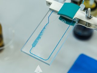 Микрофлюидный чип, используемый учеными ЮФУ для синтеза наночастиц. Фото: Артем Демьяновских / Центр общественных коммуникаций ЮФУ