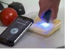 Новый мини-сканер поможет узнать, сколько калорий в куске сыра и когда созреет помидор