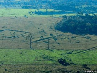 Геоглифы Бразилии не имели значительного влияния на местную экологию
