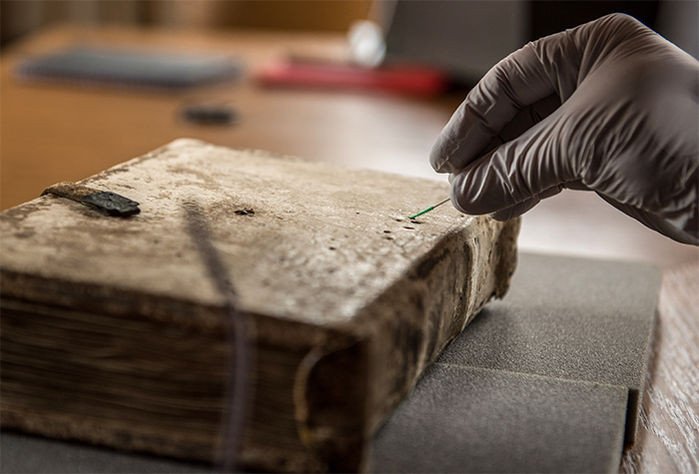 Средневековые манускрипты стали источниками биологических данных