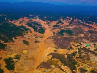 Золотоискатели разоряют перуанские леса