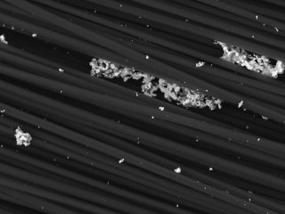 Сорбент с частицами серебра и меди защитит от бактерий. Изображение авторов исследования/Пресс-служба ПНИПУ