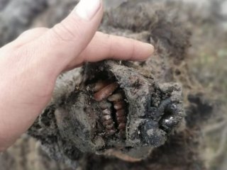 Фото: из архива НИИПЭС СВФУ