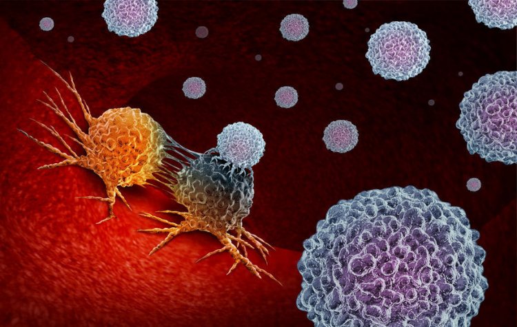Иммунитет может бороться с раком с помощью древних элементов ДНК