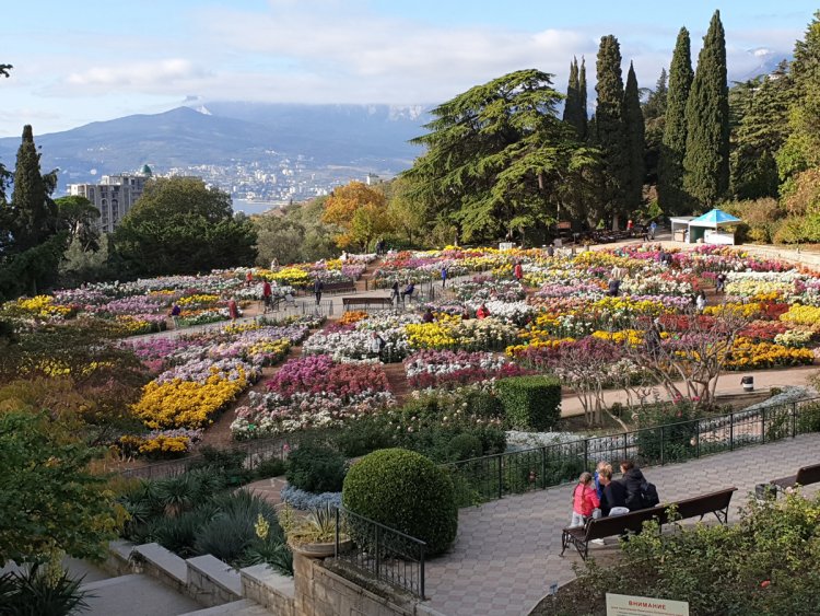 Вторая Международная научная конференция по цветоводству открылась сегодня в Никитском ботаническом саду
