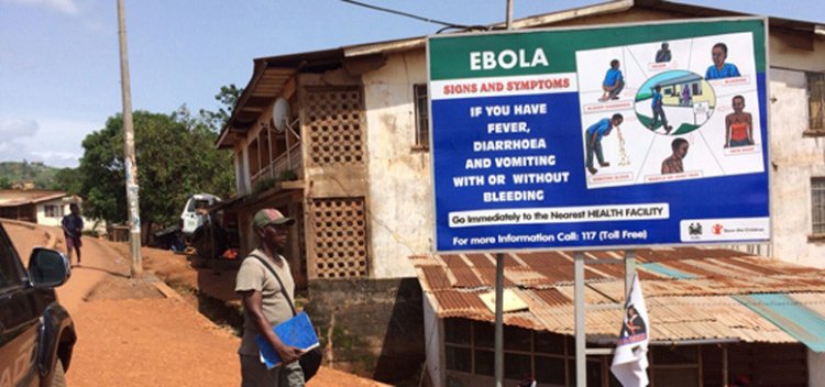 Почему вирус Эбола настолько смертоносен