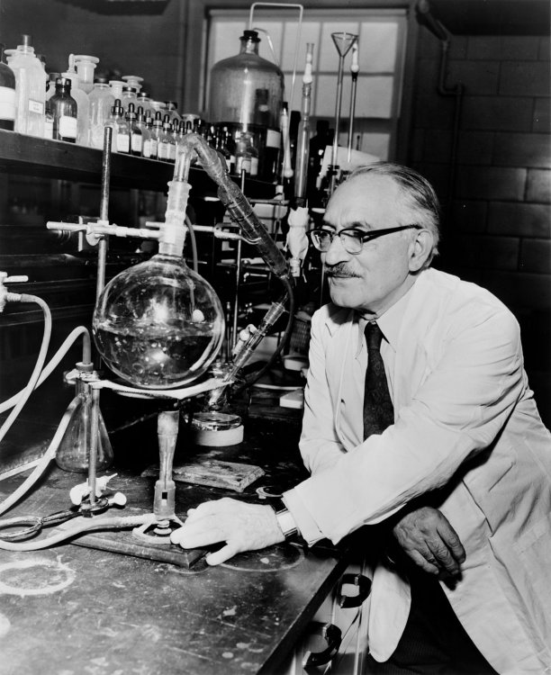 Профессор Ваксман в своей лаборатории в Ратгерском университете, 1953 г. Источник: World Telegram & Sun photo by Roger Higgins / Общественное достояние / Wikipedia