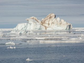 Выявлять канцерогены в водных экосистемах с помощью светящихся бактерий предложили в МФТИ. Фото: Александр Лехнович / предоставлено пресс-службой МФТИ
