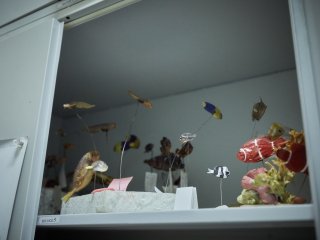 Фото: Елена Либрик / Научная Россия