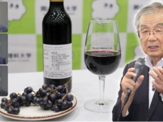 Плоды и вино из недавно выведенного сорта винограда «Мускат Сирагай», представленные на пресс-конференции почётным профессором Такудзи Хосино (справа). Фото: Okayama University of Science / Takuji Hoshino
