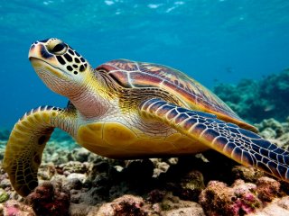 Фото: создано с помощью сервиса «Шедеврум»