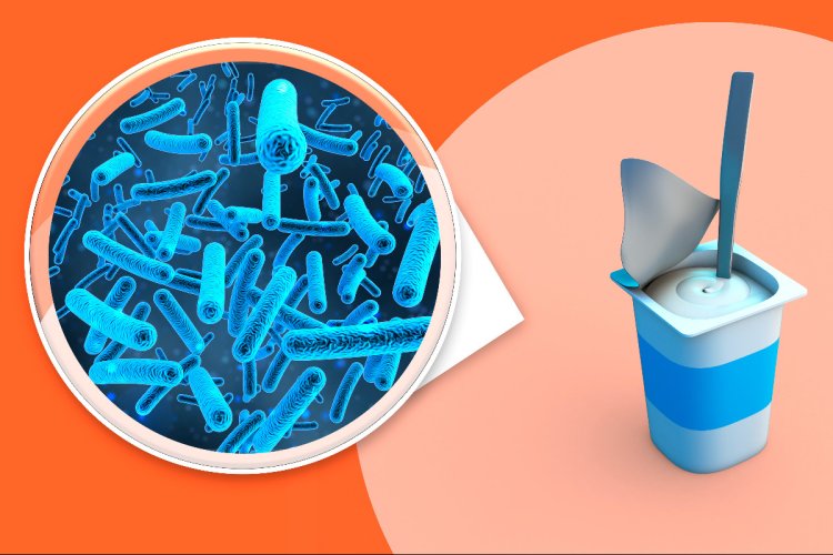 Свойства некоторых продуктов, например йогуртов, зависят от содержащихся в них микроорганизмов. Ученые из ФИЦ Биотехнологии РАН показали, что к ним относятся и питьевые минеральные воды.Источник изображения: freepik / фотобанк Freepik