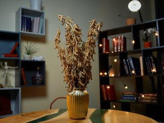 От сои до пшеницы: достижения отечественной селекции. Лекция профессора РАН Екатерины Журавлевой. Фото: Елена Либрик / «Научная Россия» / архив